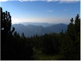 Planina Ravne - Kocbekov dom na Korošici